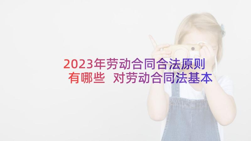 2023年劳动合同合法原则有哪些 对劳动合同法基本原则的认识(大全5篇)