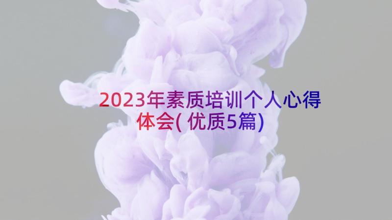 2023年素质培训个人心得体会(优质5篇)