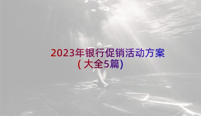 2023年银行促销活动方案(大全5篇)