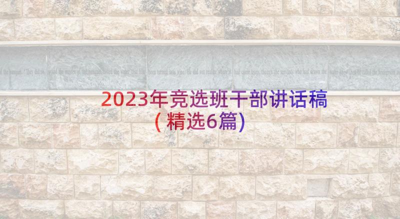 2023年竞选班干部讲话稿(精选6篇)