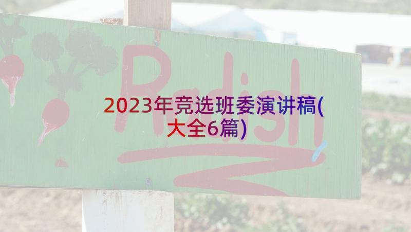 2023年竞选班委演讲稿(大全6篇)