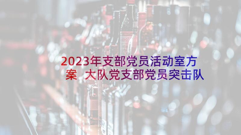 2023年支部党员活动室方案 大队党支部党员突击队活动方案(大全5篇)