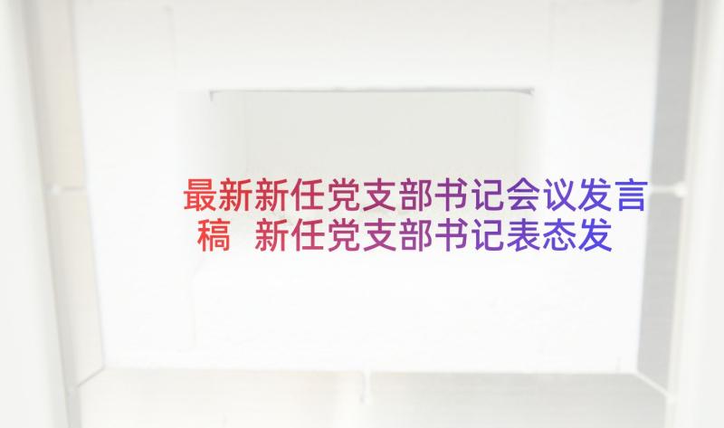 最新新任党支部书记会议发言稿 新任党支部书记表态发言稿(通用5篇)