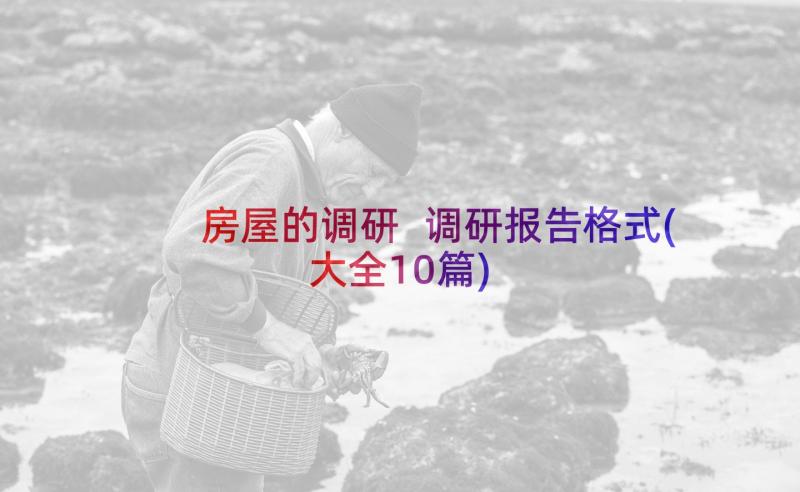 房屋的调研 调研报告格式(大全10篇)