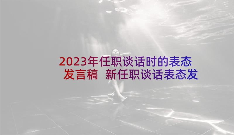 2023年任职谈话时的表态发言稿 新任职谈话表态发言稿(实用5篇)