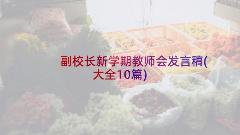 副校长新学期教师会发言稿(大全10篇)