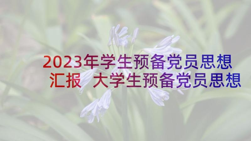 2023年学生预备党员思想汇报 大学生预备党员思想汇报(优秀7篇)