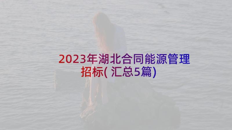 2023年湖北合同能源管理招标(汇总5篇)