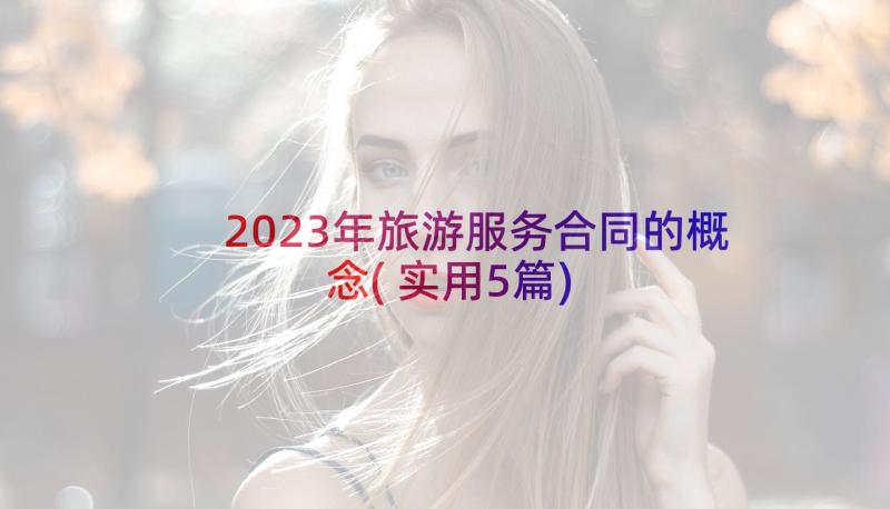 2023年旅游服务合同的概念(实用5篇)