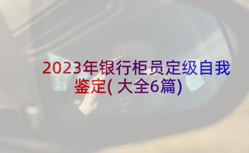 2023年银行柜员定级自我鉴定(大全6篇)