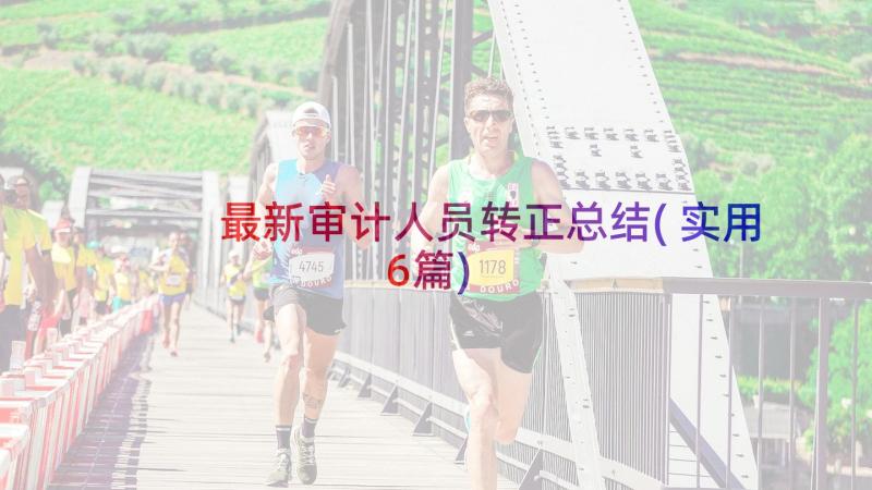 最新审计人员转正总结(实用6篇)