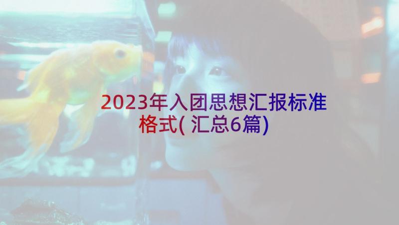 2023年入团思想汇报标准格式(汇总6篇)