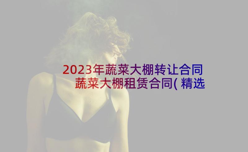 2023年蔬菜大棚转让合同 蔬菜大棚租赁合同(精选5篇)