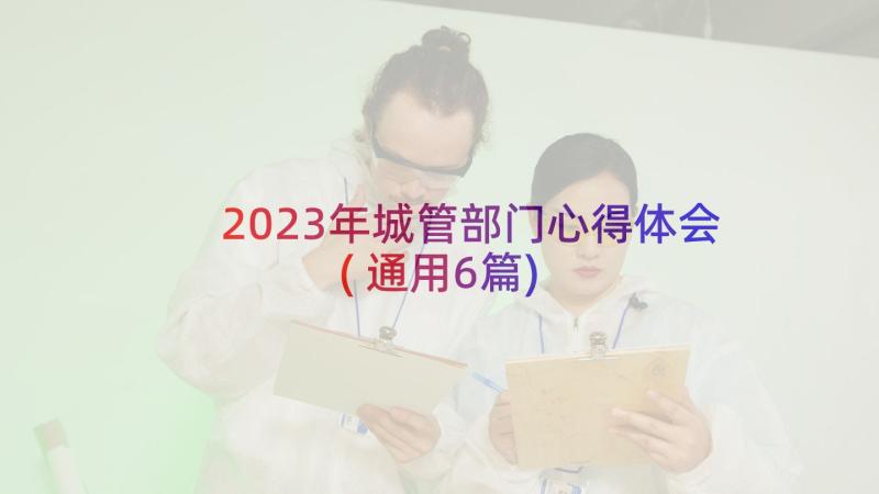 2023年城管部门心得体会(通用6篇)