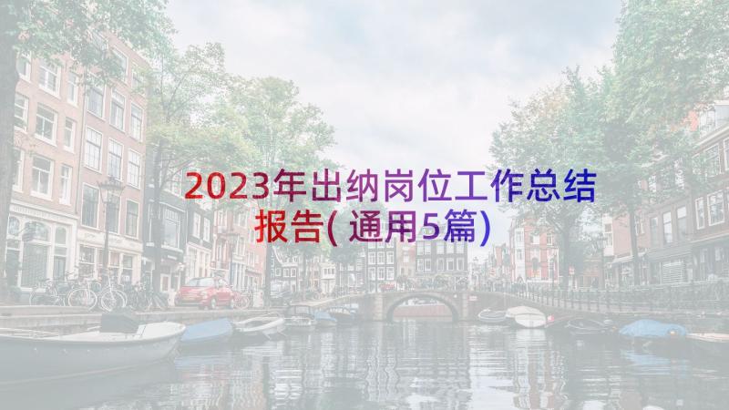 2023年出纳岗位工作总结报告(通用5篇)