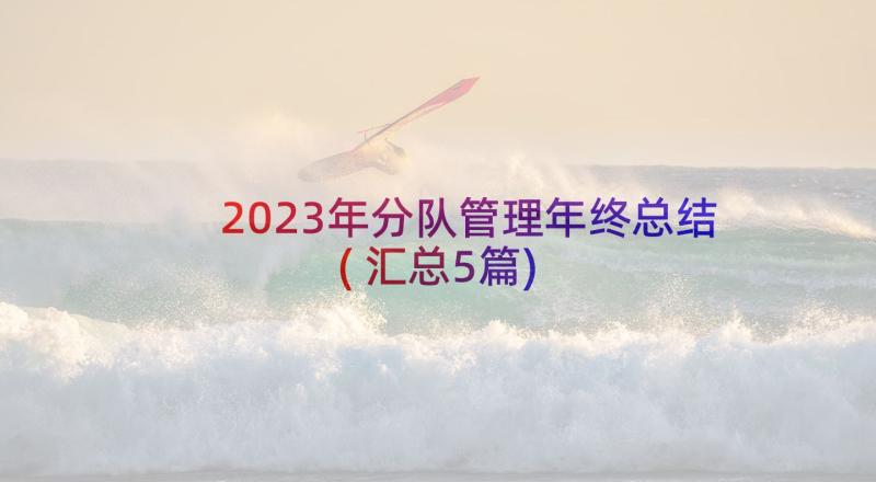 2023年分队管理年终总结(汇总5篇)