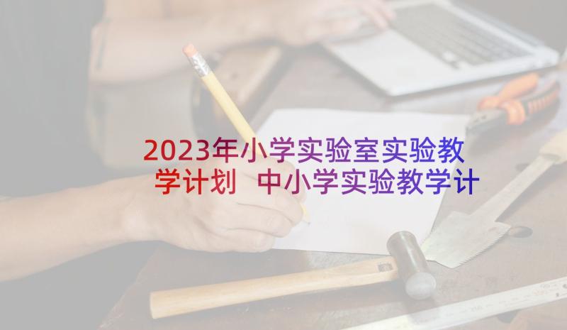 2023年小学实验室实验教学计划 中小学实验教学计划(大全5篇)