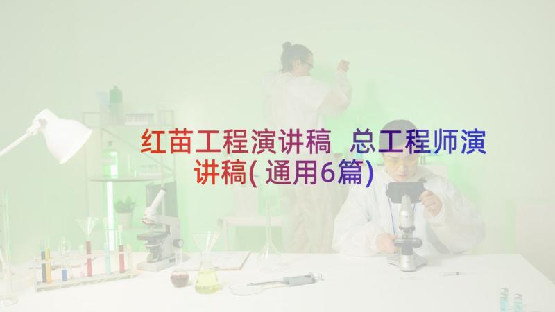 红苗工程演讲稿 总工程师演讲稿(通用6篇)