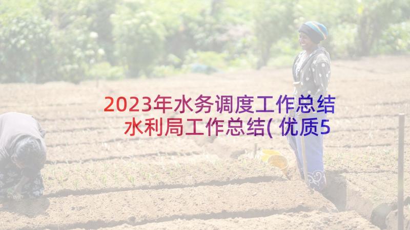 2023年水务调度工作总结 水利局工作总结(优质5篇)