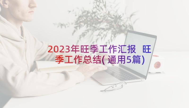 2023年旺季工作汇报 旺季工作总结(通用5篇)