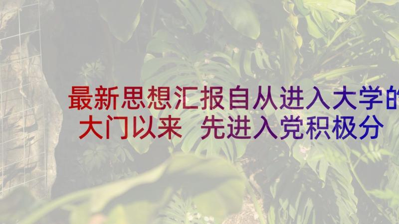 最新思想汇报自从进入大学的大门以来 先进入党积极分子思想汇报(通用5篇)