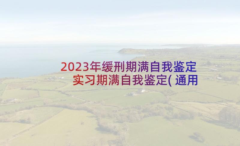 2023年缓刑期满自我鉴定 实习期满自我鉴定(通用8篇)