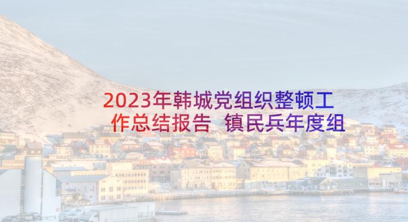 2023年韩城党组织整顿工作总结报告 镇民兵年度组织整顿工作总结(汇总5篇)