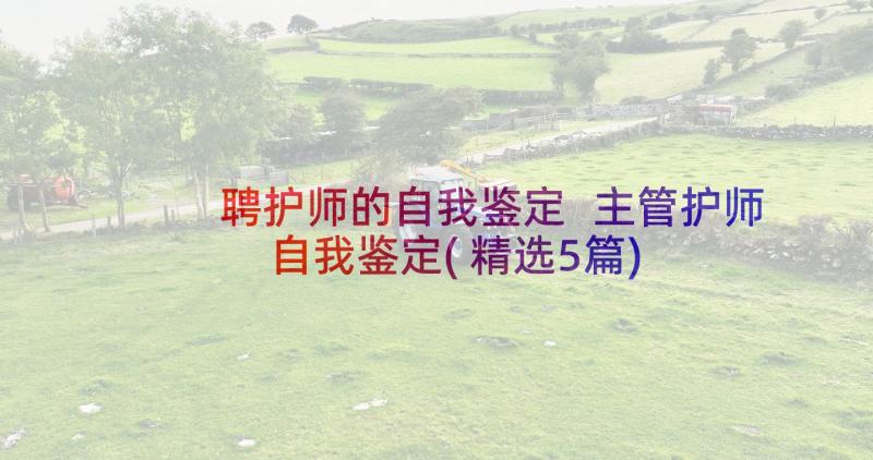 聘护师的自我鉴定 主管护师自我鉴定(精选5篇)