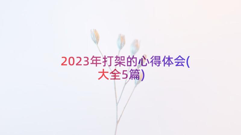 2023年打架的心得体会(大全5篇)