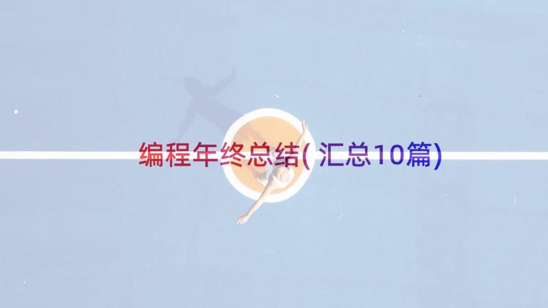 编程年终总结(汇总10篇)