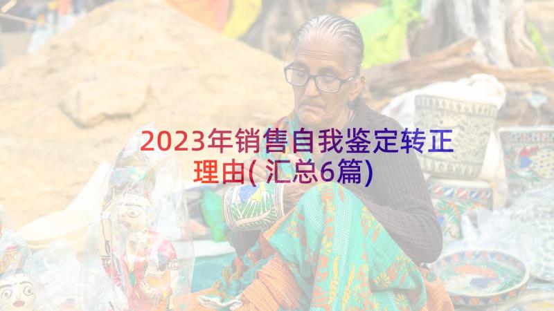 2023年销售自我鉴定转正理由(汇总6篇)