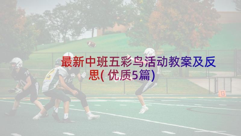 最新中班五彩鸟活动教案及反思(优质5篇)