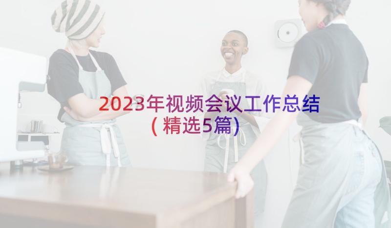 2023年视频会议工作总结(精选5篇)