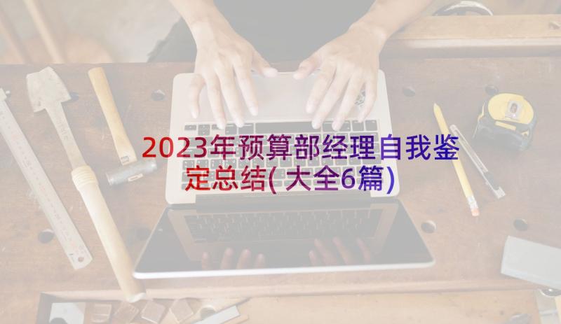 2023年预算部经理自我鉴定总结(大全6篇)