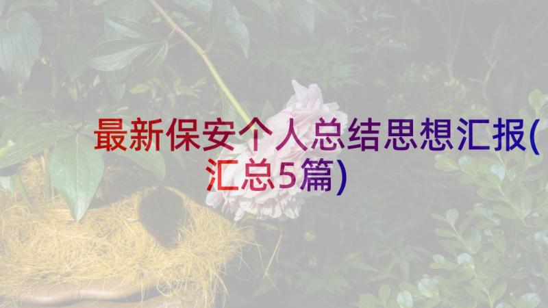 最新保安个人总结思想汇报(汇总5篇)