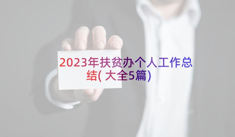 2023年扶贫办个人工作总结(大全5篇)