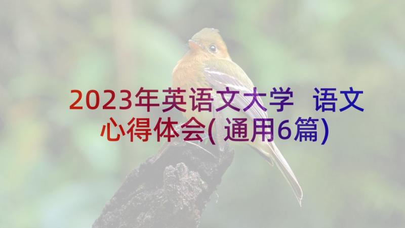 2023年英语文大学 语文心得体会(通用6篇)