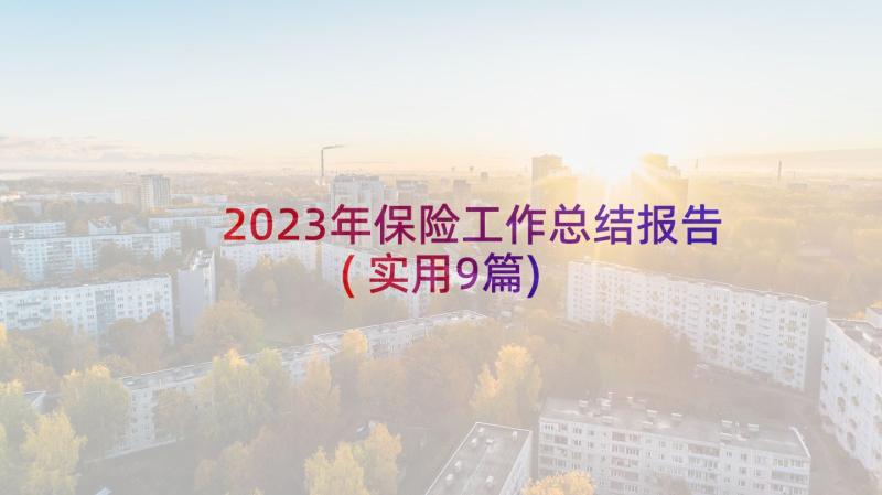 2023年保险工作总结报告(实用9篇)