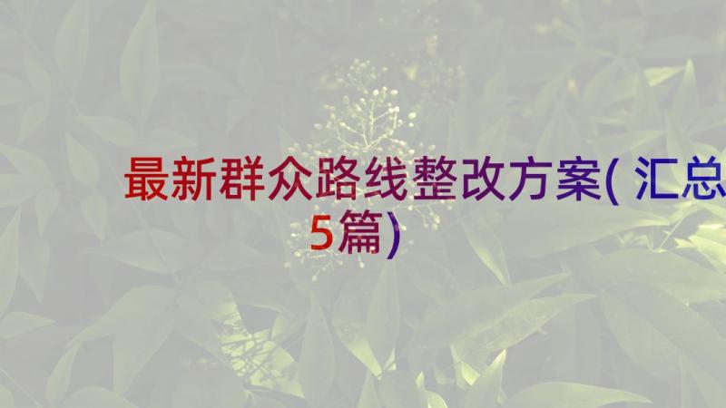 最新群众路线整改方案(汇总5篇)