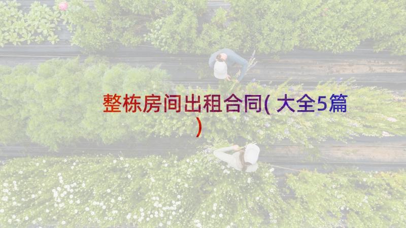 整栋房间出租合同(大全5篇)