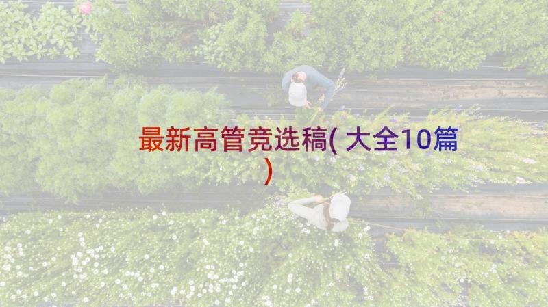 最新高管竞选稿(大全10篇)