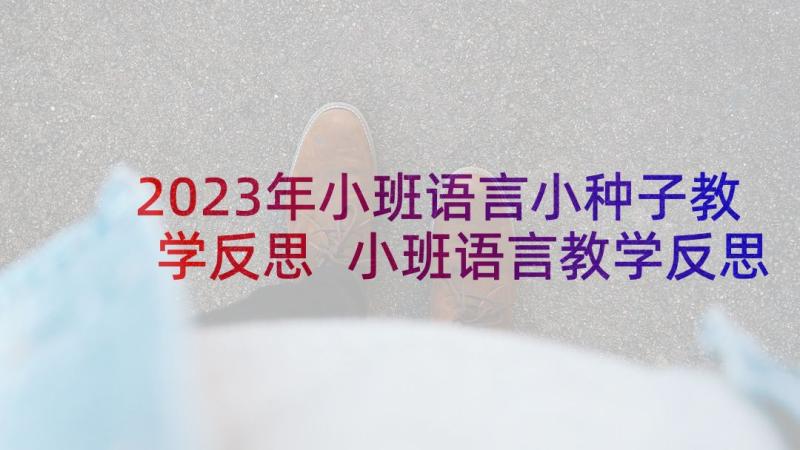 2023年小班语言小种子教学反思 小班语言教学反思(优质7篇)