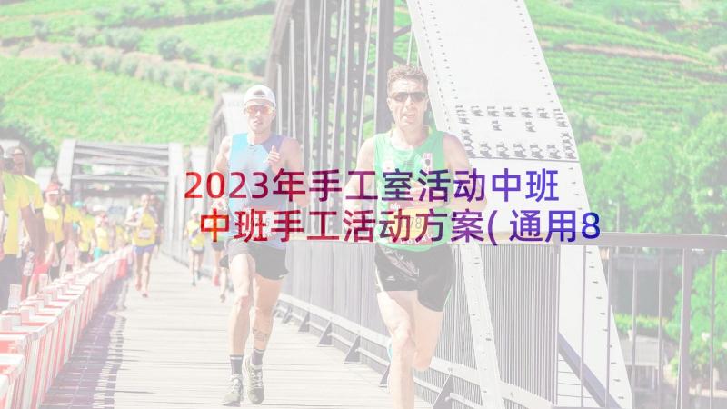 2023年手工室活动中班 中班手工活动方案(通用8篇)