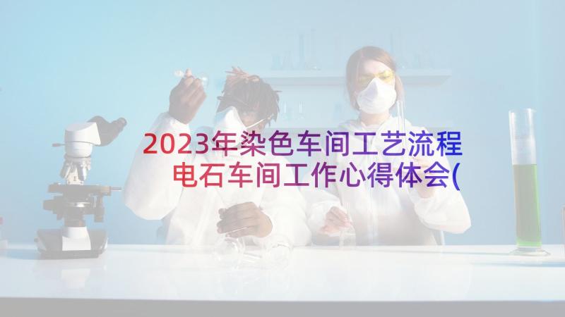 2023年染色车间工艺流程 电石车间工作心得体会(通用8篇)