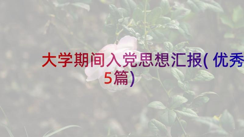 大学期间入党思想汇报(优秀5篇)