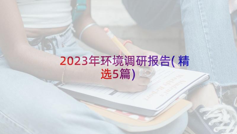 2023年环境调研报告(精选5篇)