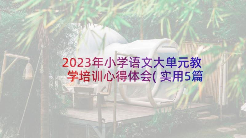 2023年小学语文大单元教学培训心得体会(实用5篇)