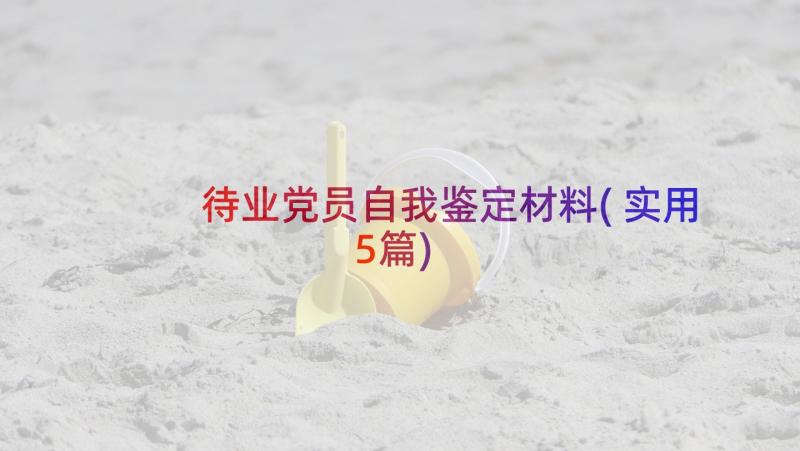 待业党员自我鉴定材料(实用5篇)