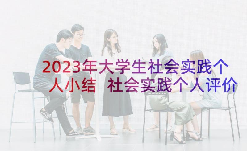 2023年大学生社会实践个人小结 社会实践个人评价大学生(精选10篇)