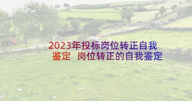 2023年投标岗位转正自我鉴定 岗位转正的自我鉴定(实用5篇)